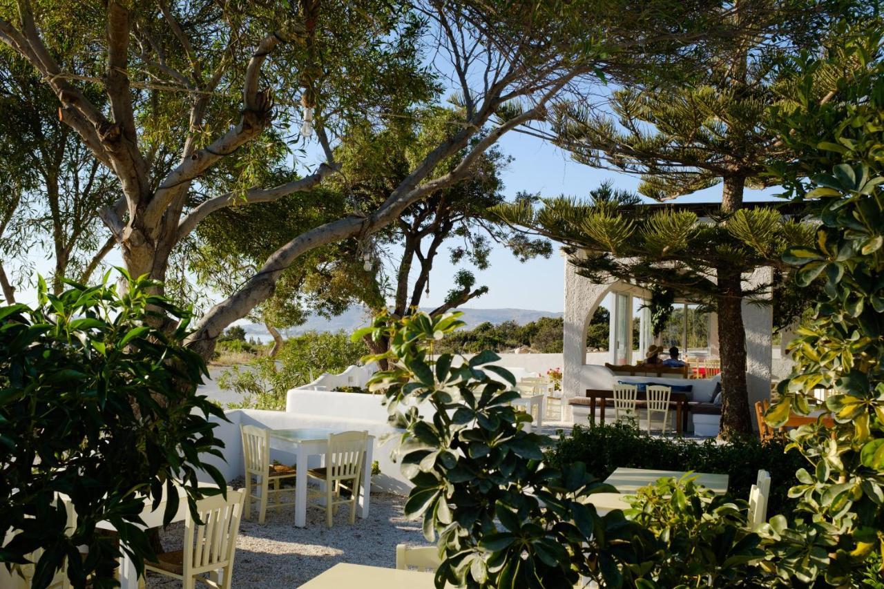 Villa Faros Aliko Beach Exterior foto
