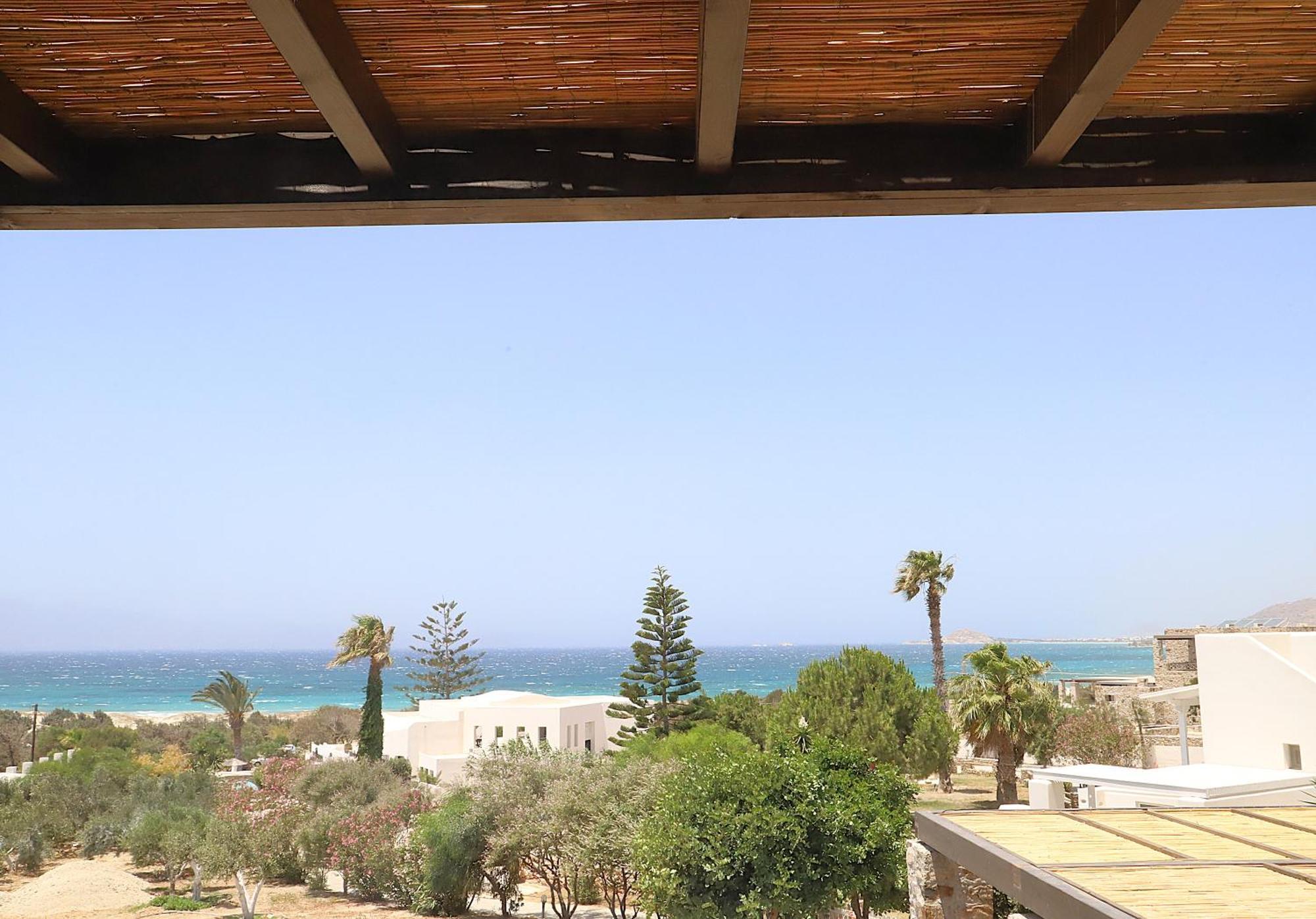 Villa Faros Aliko Beach Exterior foto
